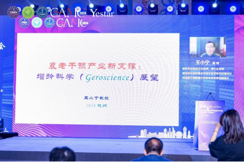 图片 16.png